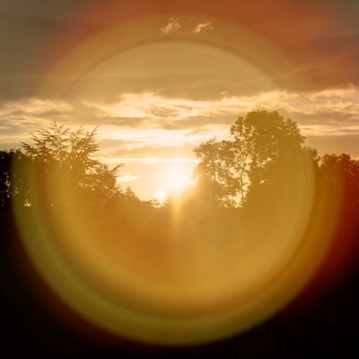 Besoin de soleil_5168742746_l.jpg